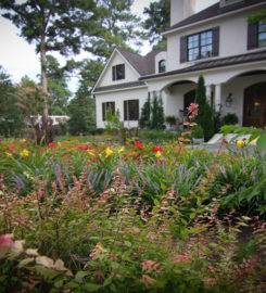 Integrated Landscapes