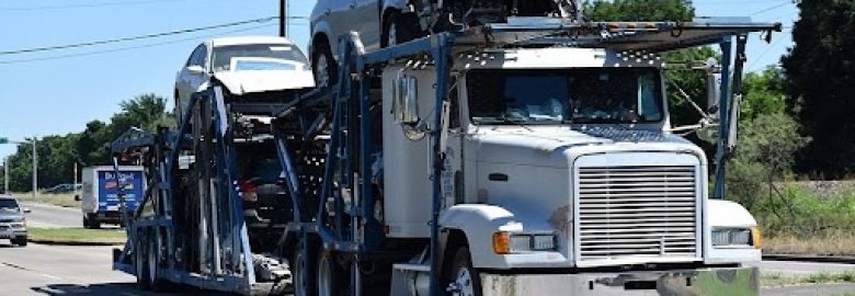 Bold Auto Transport LLC