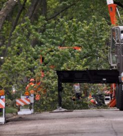 Doss Tree Service