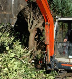 Doss Tree Service